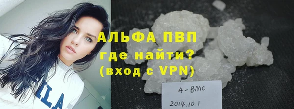 тгк Новодвинск