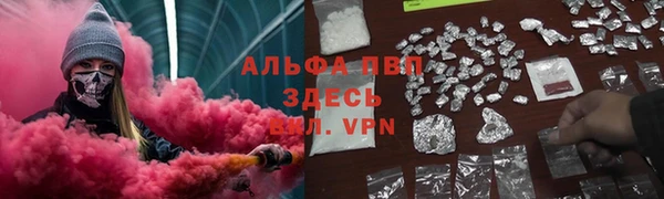стаф Дедовск
