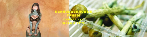 стаф Дедовск
