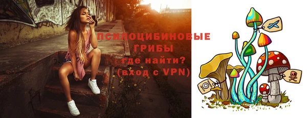 соль курить ск Новозыбков