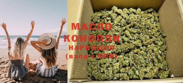 тгк Новодвинск