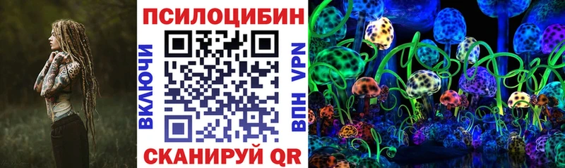 Купить закладки Елабуга Псилоцибиновые грибы ЛСД